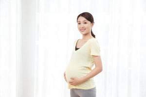 如何查詢生育保險？